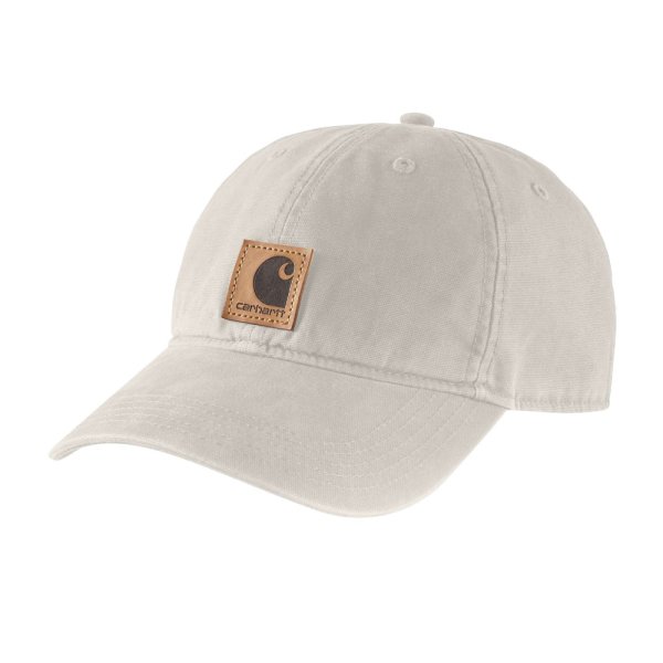 carhartt 100289 final