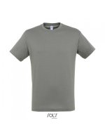 0520199 sol s regent zinc 11380