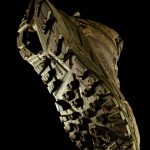 ΜΠΟΤΑΚΙΑ ΕΡΓΑΣΙΑΣ GRAVITY K15062 TREK PENTAGON XALATSIS 2